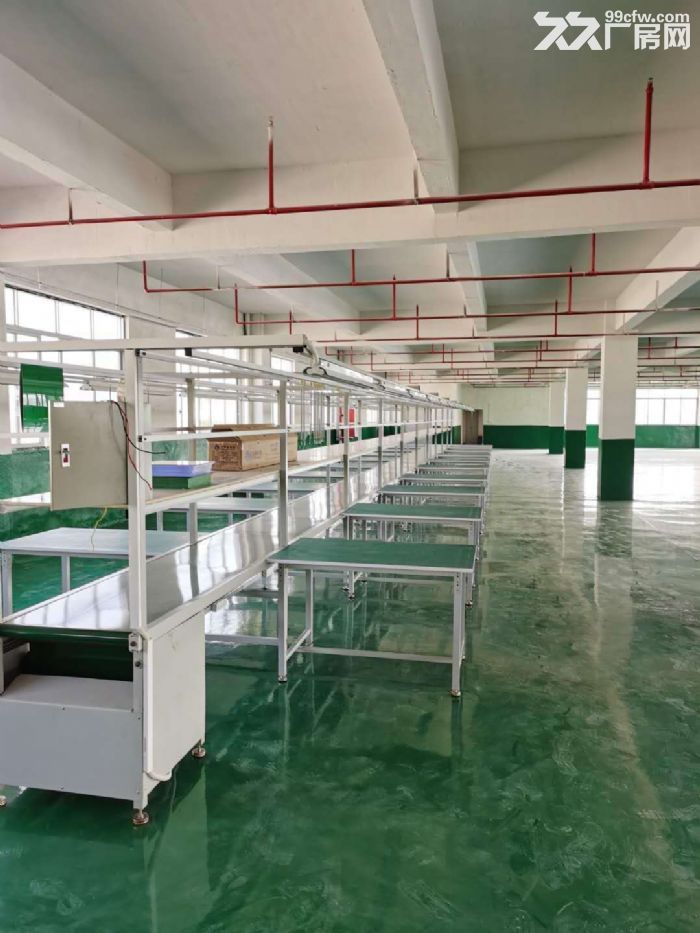 江门台山工业新城形像好独院工业园厂房2000平方招租-图6