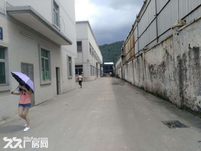 蓬江棠下工业区独院单一层厂房2500平方招租-图1