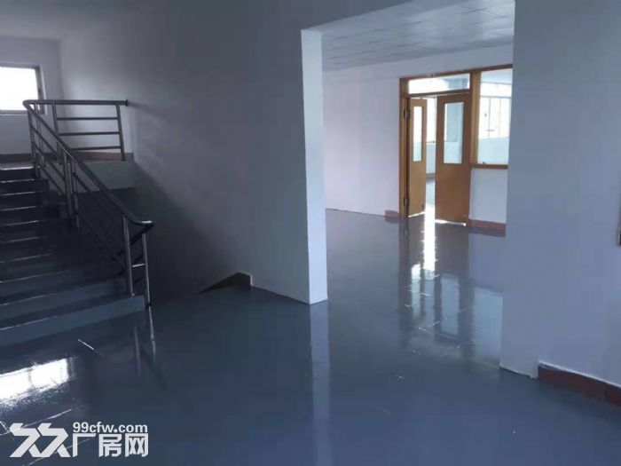 台山工业新城水步大道独院标准厂房3050平方出租-图5