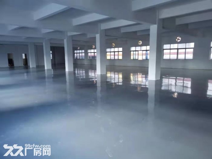 台山工业新城水步大道独院标准厂房3050平方出租-图7