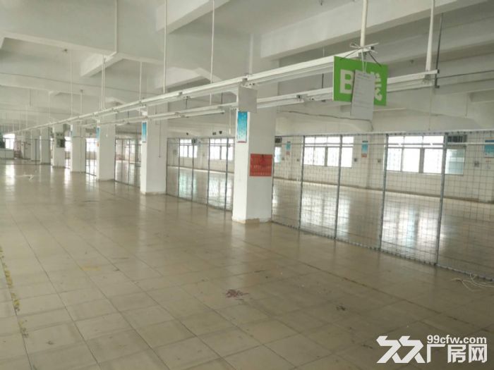 台山大江高速路口附近形像好标准框架结构厂房1000平方招租-图3