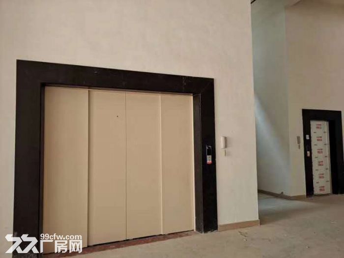 台山冲蒌红岭工业区全新厂房8000平方招租-图1
