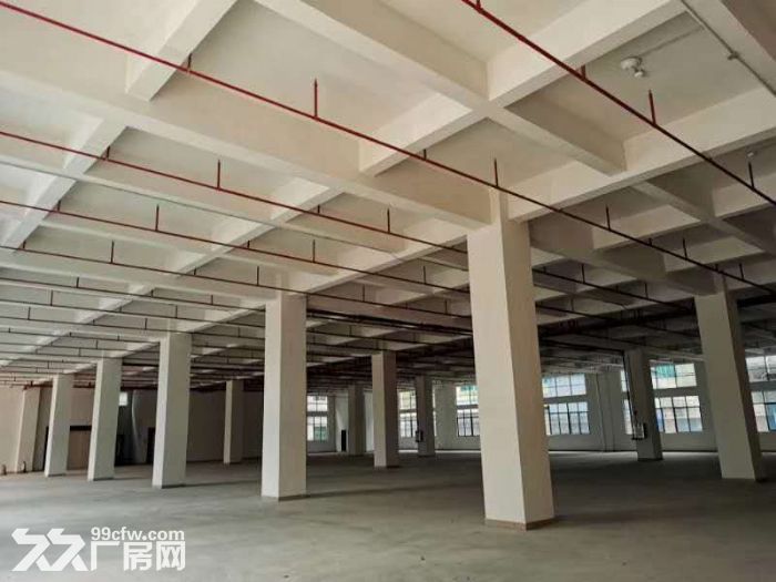 台山冲蒌红岭工业区全新厂房8000平方招租-图2