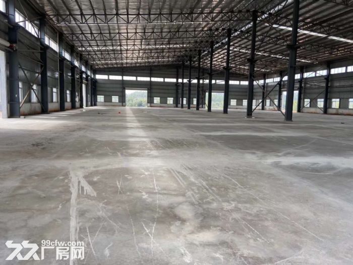 台山冲蒌红岭工业区全新厂房8000平方招租-图5