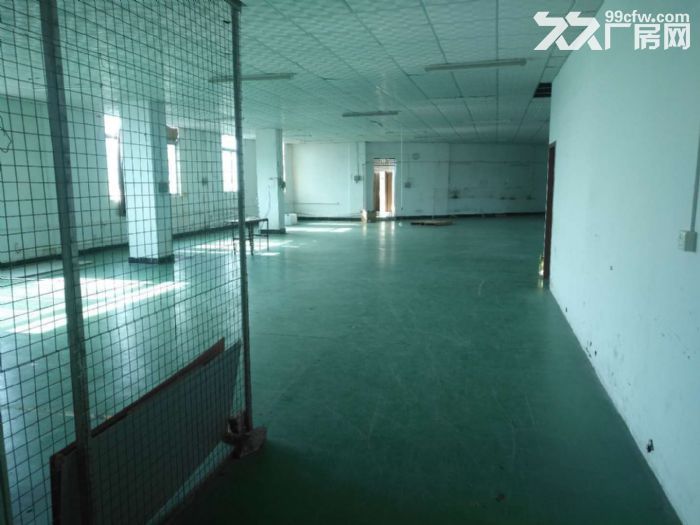 江门蓬江荷塘白腾独院单一层现成装修厂房仓库2000平方招租-图2