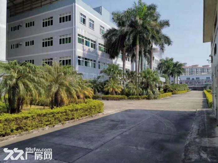 江门台山水步独院形像好电梯厂房2000，宿舍办以500方出租-图1