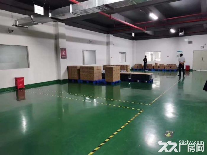 江门台山水步独院形像好电梯厂房2000，宿舍办以500方出租-图4