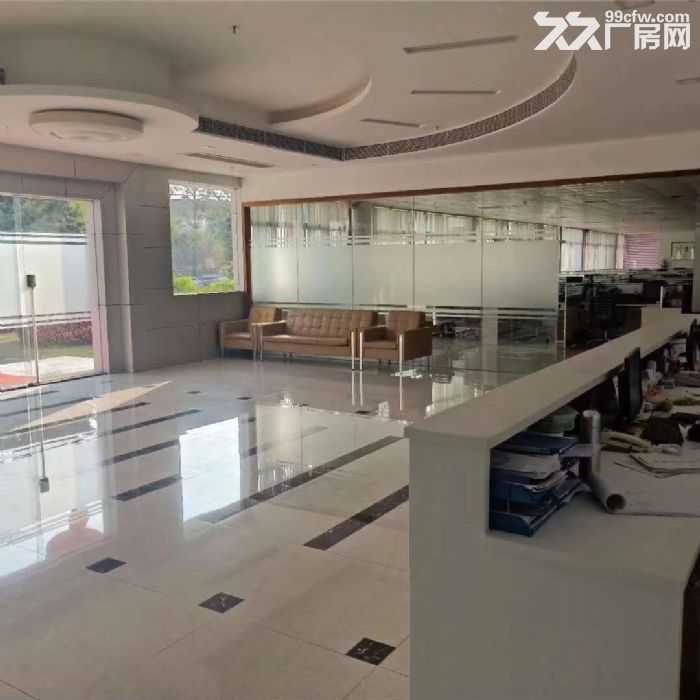江门台山水步独院形像好电梯厂房2000，宿舍办以500方出租-图5