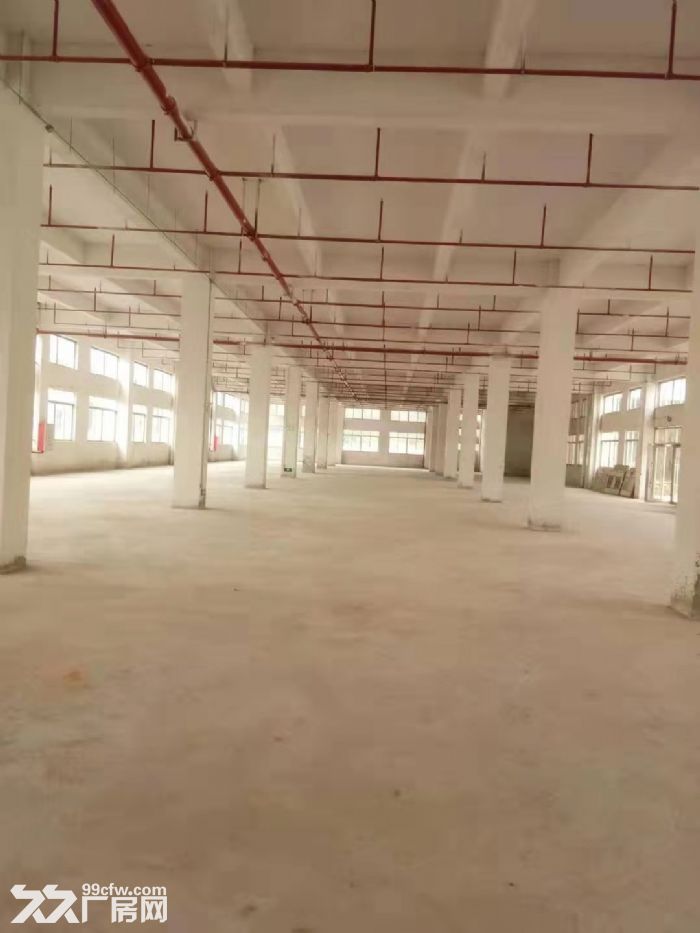 台山重型工业厂房二楼2000平方带装修出租-图2