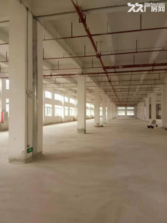 台山重型工业厂房二楼2000平方带装修出租-图1