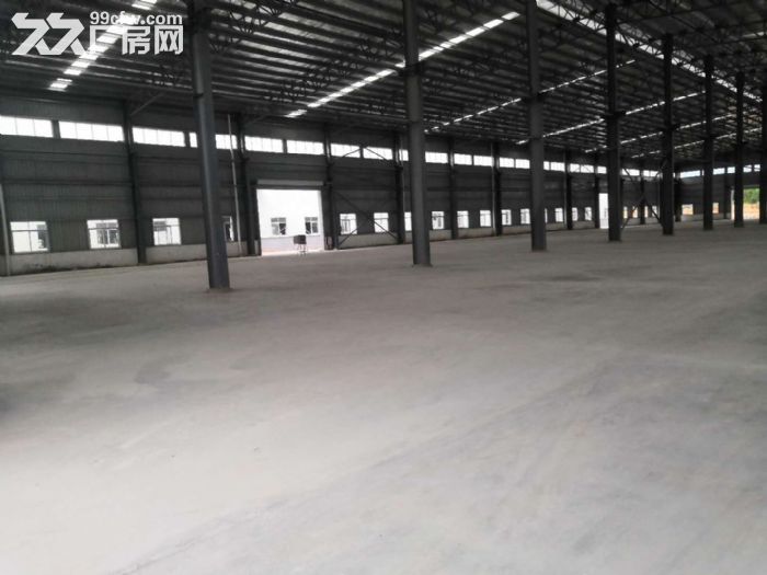 江门台山成熟大型工业园50000平方独院厂房招租-图4