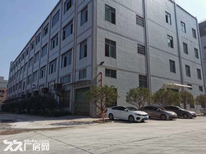 台山冲蒌红岭工业区全新厂房8000平方招租-图7