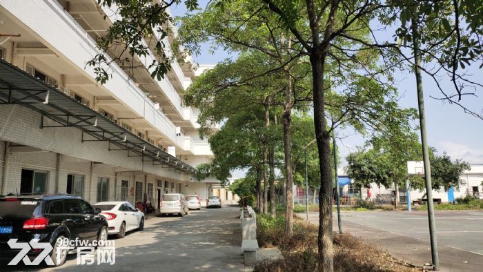 待环评可分租，可整租总面积9000-图3