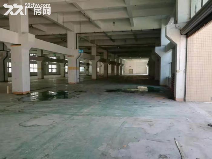 江门台山家具，破碎，喷漆，喷油，抽粒，树脂行业厂房出租-图4