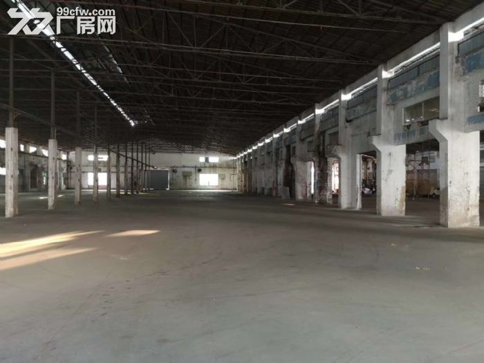 江门蓬江荷塘独院单一层厂房1000至5000平方分栋出租-图3