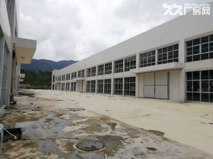 江门鹤山鹤城工业区40000平方工业厂房出租可分租-图3