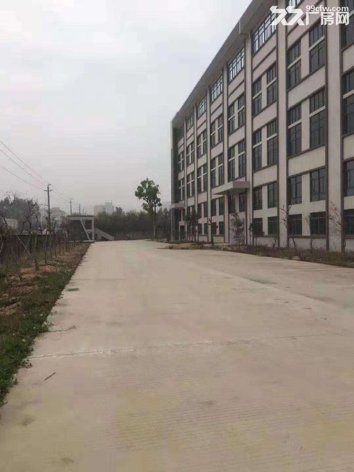 江门鹤山鹤城工业区40000平方工业厂房出租可分租-图4