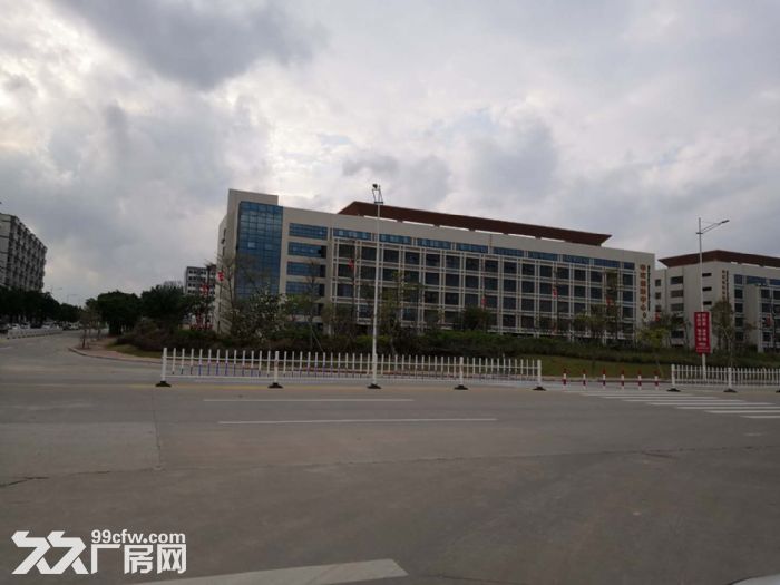 江门鹤山鹤城工业区40000平方工业厂房出租可分租-图6