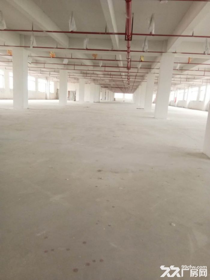 台山工业新城二次消防喷淋全新独门独院厂房1−2层出租-图4