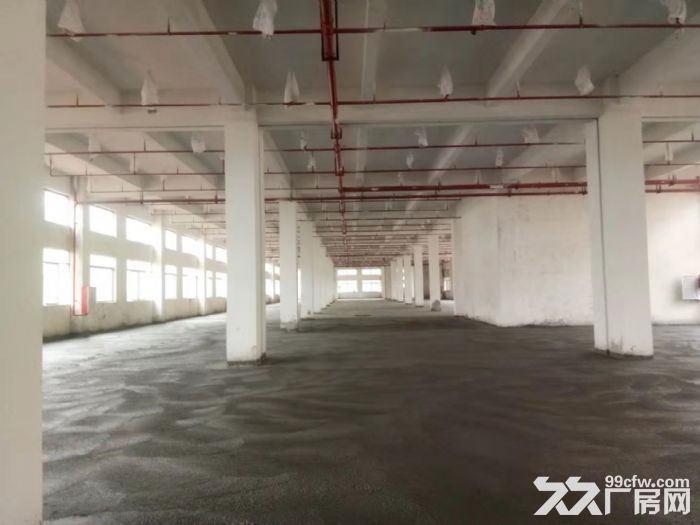 台山工业新城二次消防喷淋全新独门独院厂房1−2层出租-图5