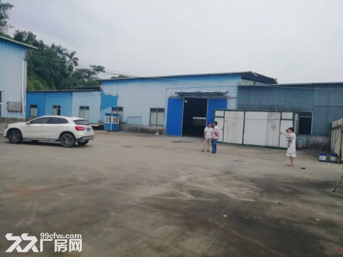 江门杜阮叱石工业区独院厂房5500平方招租，可分栋出租-图2