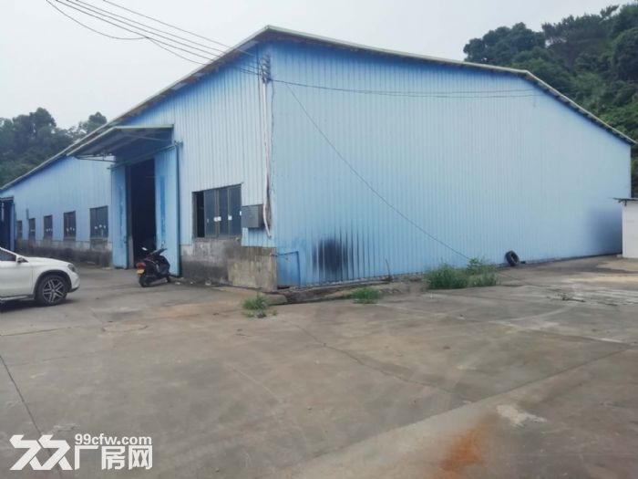江门杜阮叱石工业区独院厂房5500平方招租，可分栋出租-图3