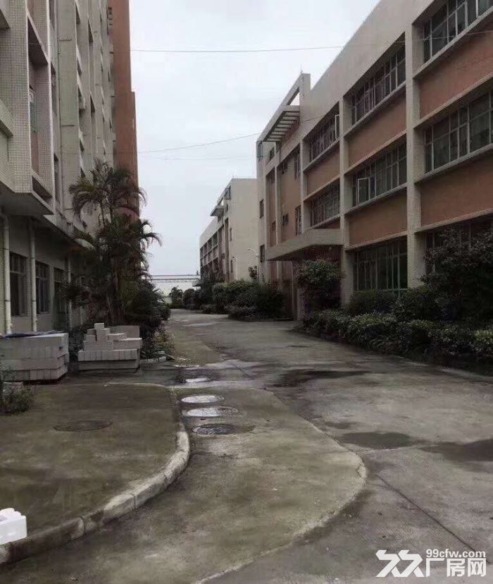 江门台山工业新城1−2层独院标准厂房30000平方招租-图4