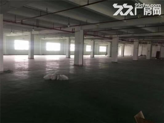 工业区厂房300平米到3000平方招租！-图2