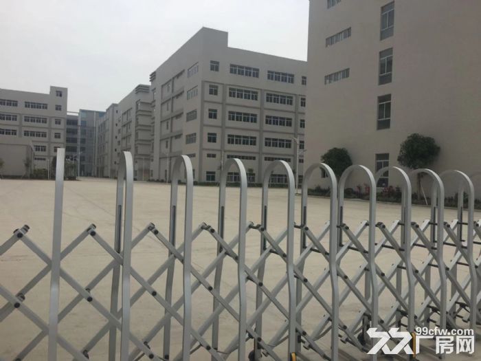 工业区厂房300平米到3000平方招租！-图6
