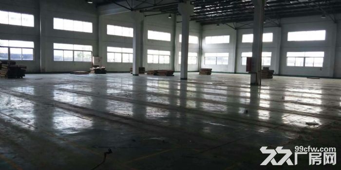 蓬江区荷塘工业区有厂房招租，可分租-图1