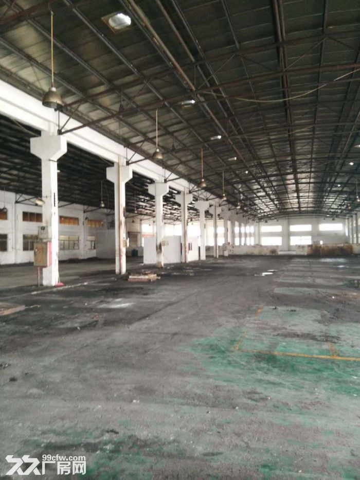 蓬江区荷塘工业区有厂房招租，可分租-图4