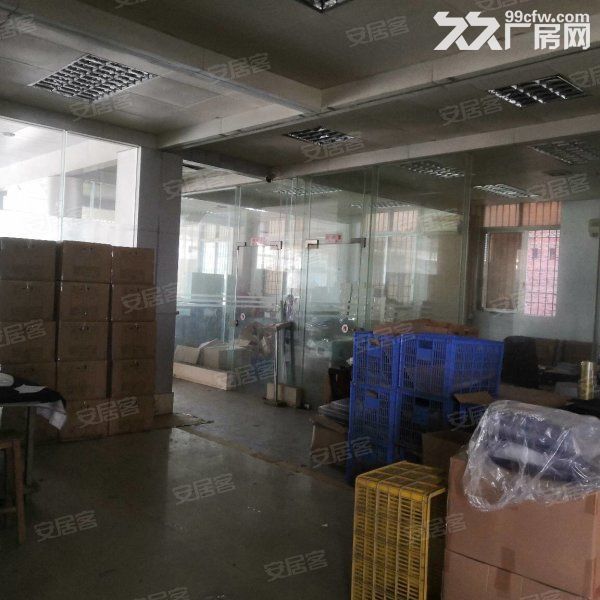 江门新会司前国道边独院单一层厂房2000，宿舍办公600平方-图3