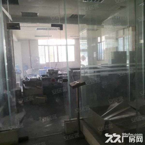 江门新会司前国道边独院单一层厂房2000，宿舍办公600平方-图5