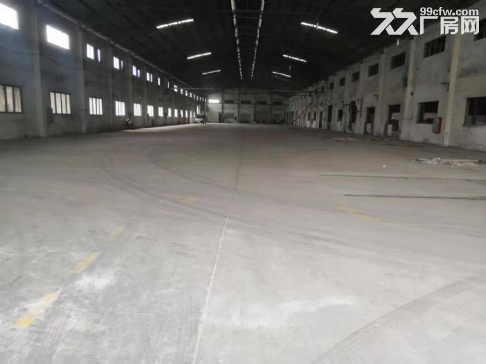 台山西湖独院单一层钢构厂房1000平方招租-图4