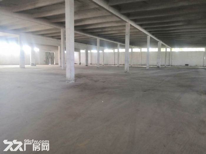 江门开平水口20000平方独院单一层标准厂房出租，可分租-图5