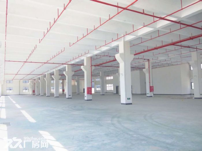 江门开平水口20000平方独院单一层标准厂房出租，可分租-图4