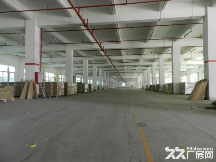 江门开平水口20000平方独院单一层标准厂房出租，可分租-图1