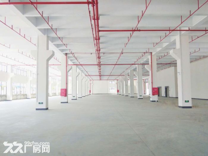 江门开平水口20000平方独院单一层标准厂房出租，可分租-图3