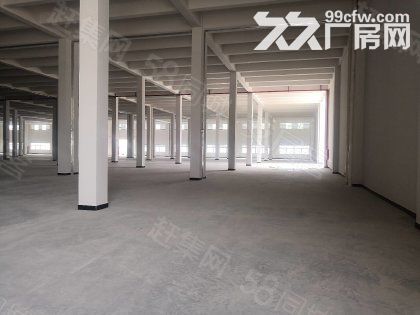开平市月山工业区标准框架重工业单一层厂房10000平方可分租-图1