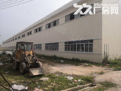 开平市月山工业区标准框架重工业单一层厂房10000平方可分租-图3