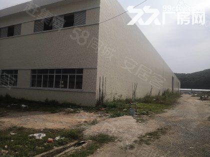 开平市月山工业区标准框架重工业单一层厂房10000平方可分租-图5