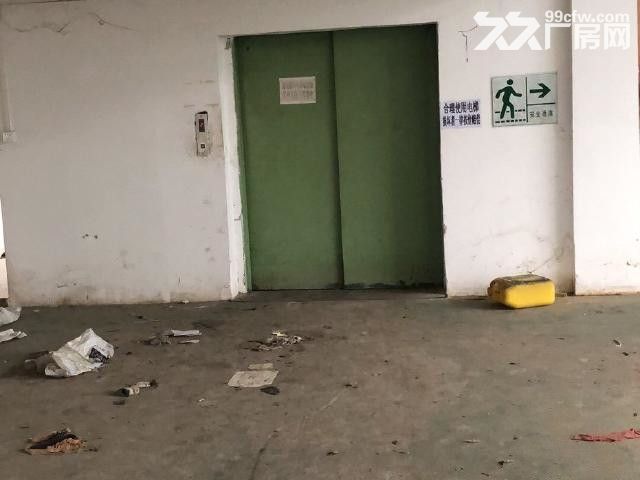 白石二楼电梯1000平方厂房出租-图2