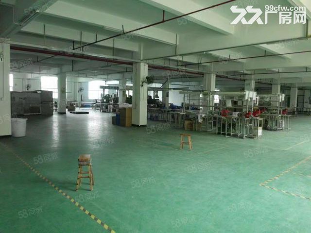 纬丰广场后面整幢厂房出租可分租-图2