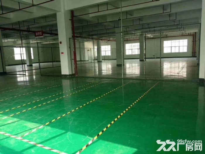 江门蓬江荷塘工业厂房500，1500，2000，4000大小都有-图3