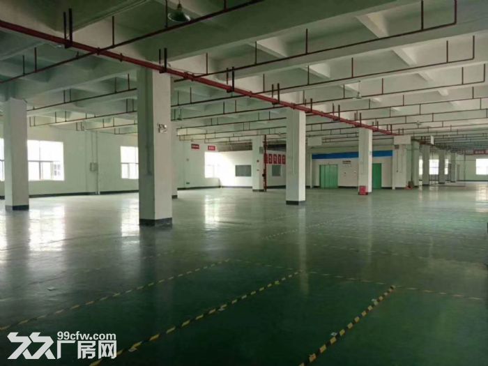 江门蓬江荷塘工业厂房500，1500，2000，4000大小都有-图4