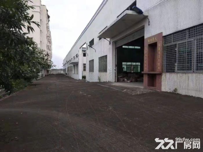 江门蓬江荷塘工业厂房500，1500，2000，4000大小都有-图8