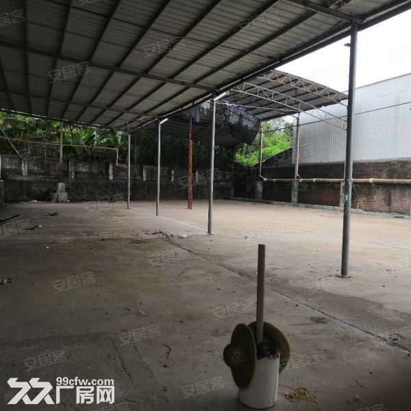 台山台城昌大昌附近独院厂房仓库500，空地800平方招租-图3