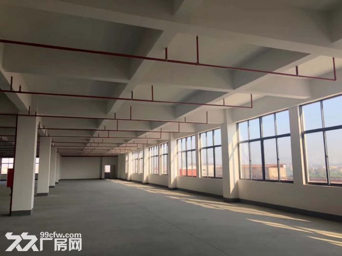 台山水步工业区3000平方电子厂出租-图1