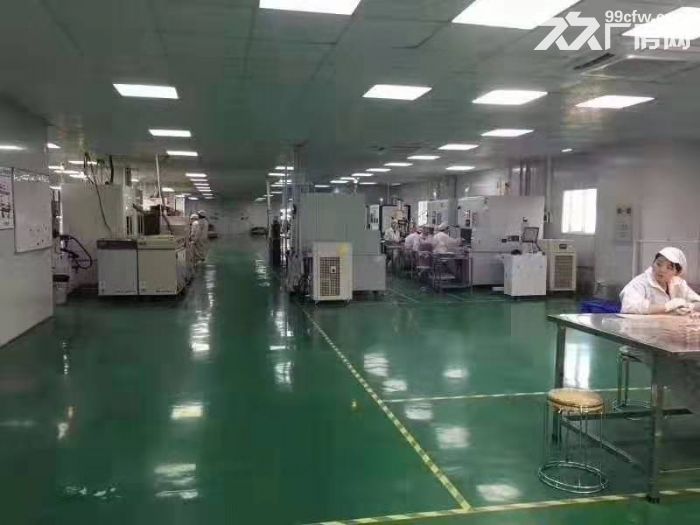 台山水步工业区3000平方电子厂出租-图3