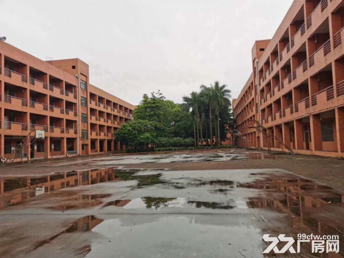 江门五邑地区工业园有厂房仓库出租-图2